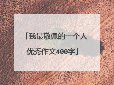 我最敬佩的一个人优秀作文400字
