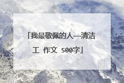 我最敬佩的人——清洁工 作文 500字