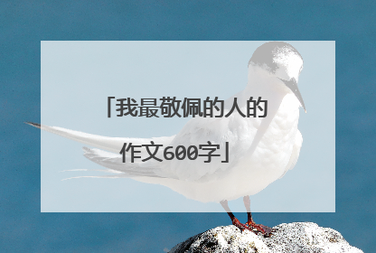 我最敬佩的人的作文600字