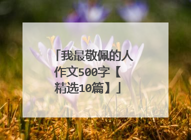 我最敬佩的人作文500字【精选10篇】