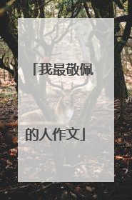 我最敬佩的人作文