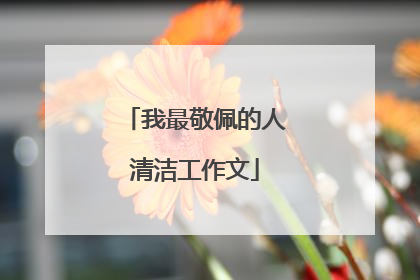 我最敬佩的人清洁工作文