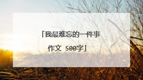 我最难忘的一件事作文 500字