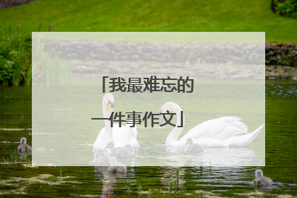 我最难忘的一件事作文