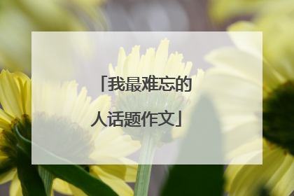 我最难忘的人话题作文