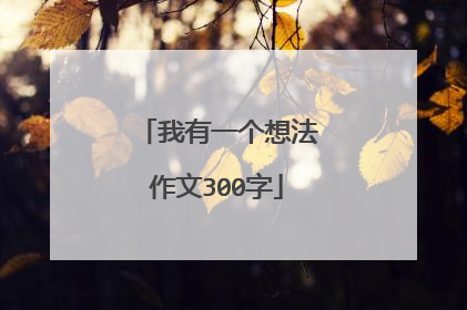 我有一个想法作文300字