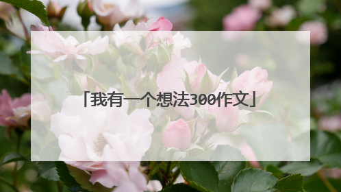 我有一个想法300作文