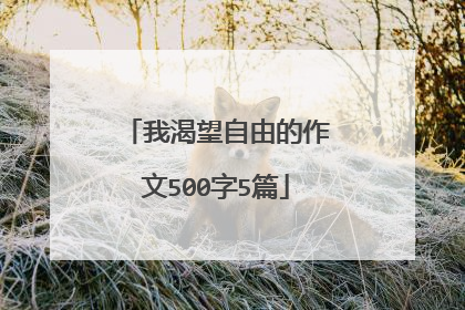 我渴望自由的作文500字5篇
