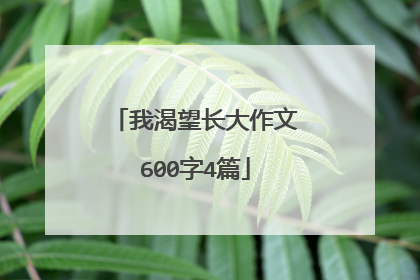 我渴望长大作文600字4篇