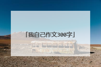 我自己作文300字