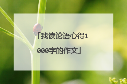 我读论语心得1000字的作文