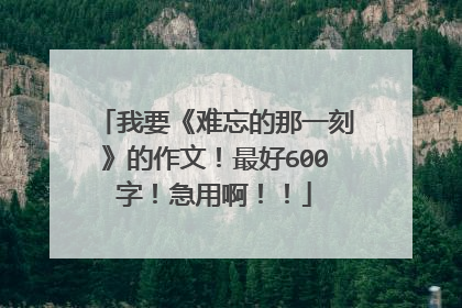我要《难忘的那一刻》的作文!最好600字!急用啊!!