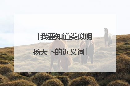 我要知道类似明扬天下的近义词