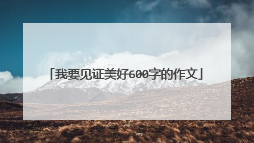 我要见证美好600字的作文