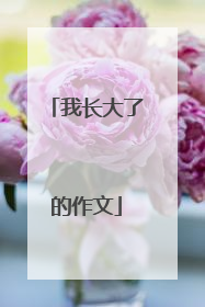 我长大了的作文