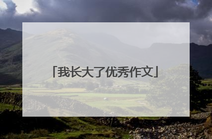 我长大了优秀作文