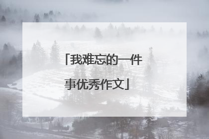 我难忘的一件事优秀作文