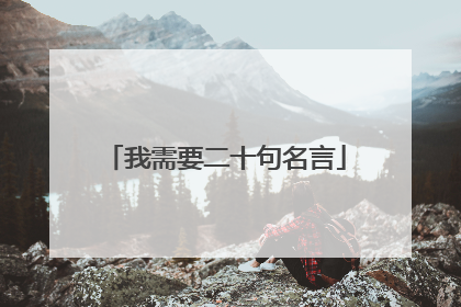 我需要二十句名言