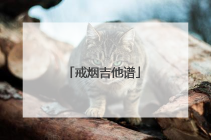 戒烟吉他谱