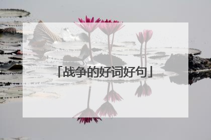 战争的好词好句