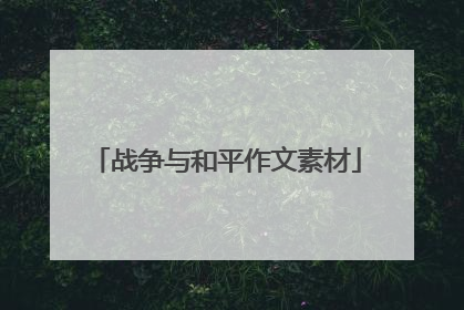 战争与和平作文素材
