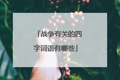 战争有关的四字词语有哪些
