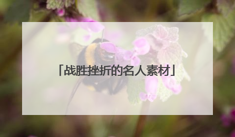 战胜挫折的名人素材