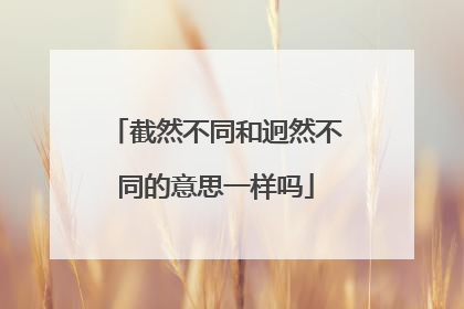 截然不同和迥然不同的意思一样吗