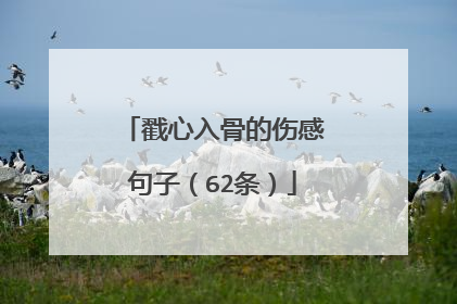 戳心入骨的伤感句子(62条)