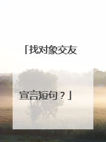 找对象交友宣言短句?