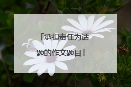 承担责任为话题的作文题目