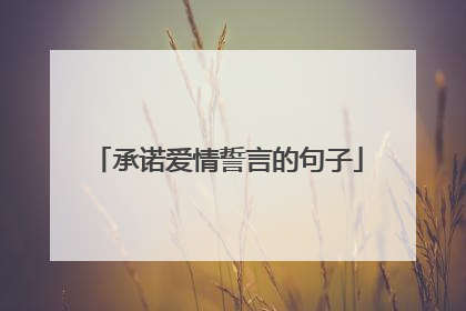 承诺爱情誓言的句子