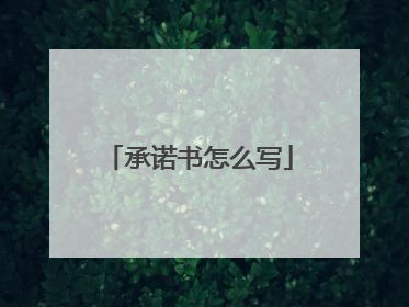 承诺书怎么写