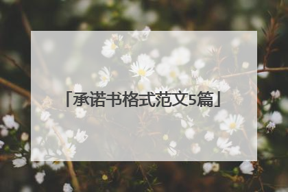 承诺书格式范文5篇