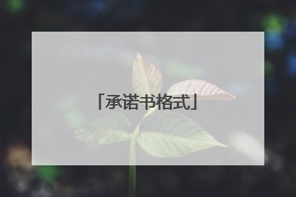承诺书格式