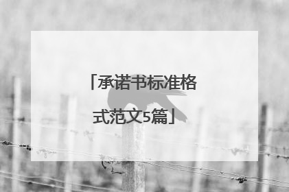 承诺书标准格式范文5篇