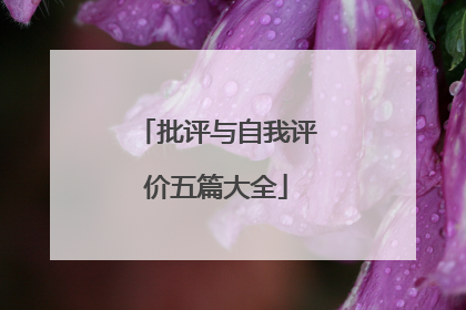 批评与自我评价五篇大全