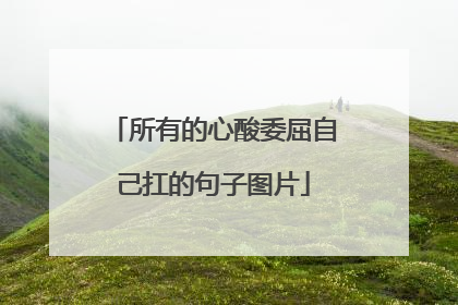 所有的心酸委屈自己扛的句子图片