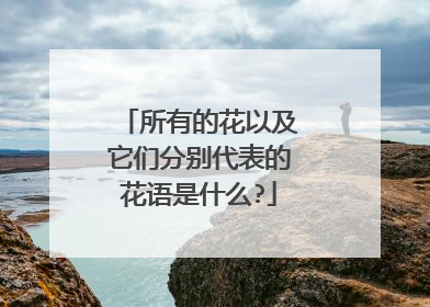 所有的花以及它们分别代表的花语是什么?