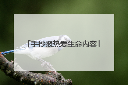 手抄报热爱生命内容