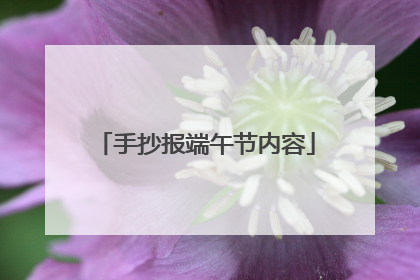 手抄报端午节内容