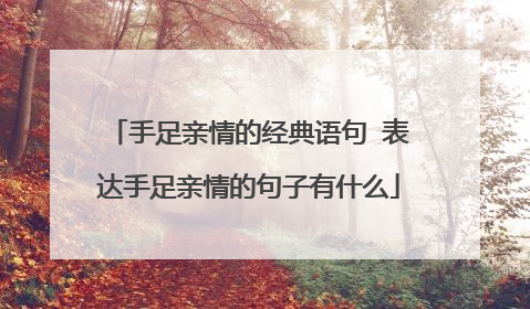 手足亲情的经典语句 表达手足亲情的句子有什么