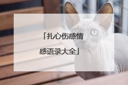 扎心伤感情感语录大全