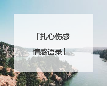 扎心伤感情感语录