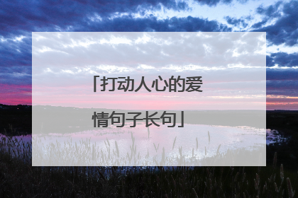 打动人心的爱情句子长句