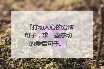 打动人心的爱情句子,求一些感动的爱情句子。
