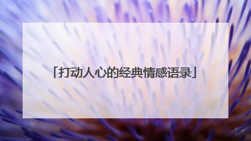 打动人心的经典情感语录