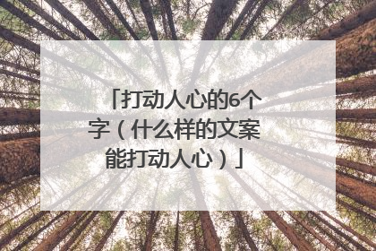 打动人心的6个字(什么样的文案能打动人心)