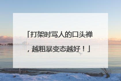 打架时骂人的口头禅,越粗暴变态越好!