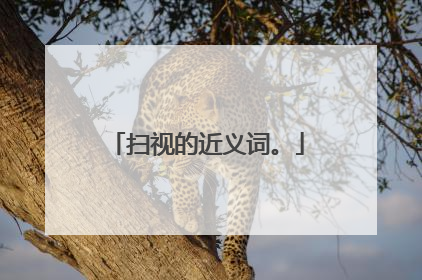 扫视的近义词。